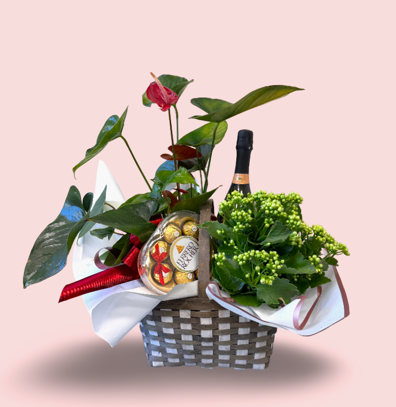 Mother's Day Gift Basket