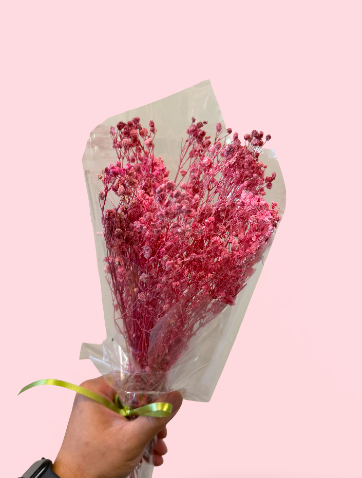 Imported Glycerine-Dyed Gypsophila