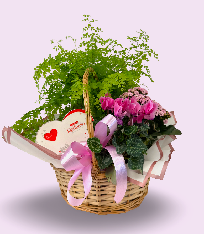 Pink Garden Plants & Chocolate Gift Basket