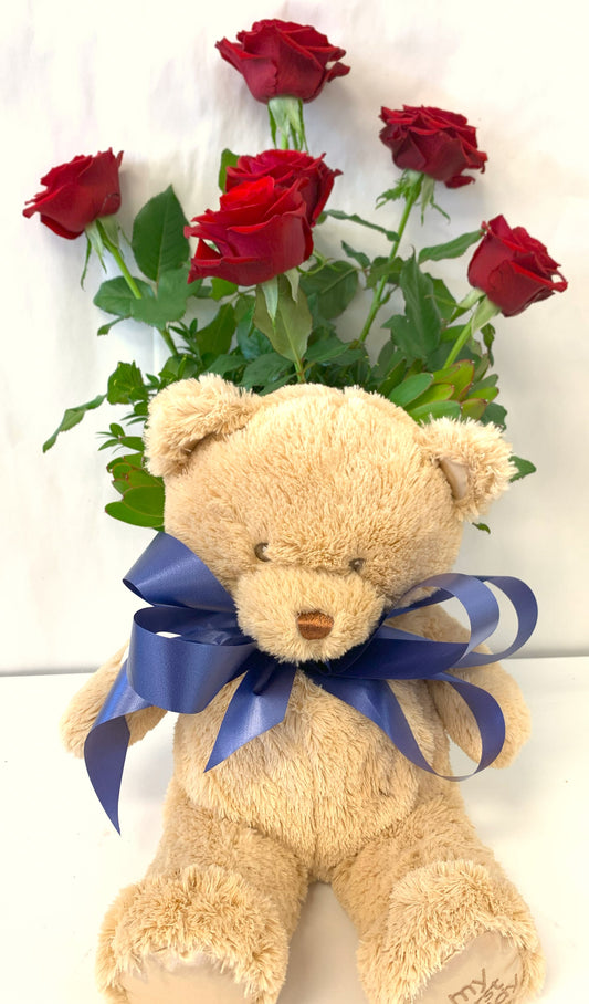 Teddy and six roses