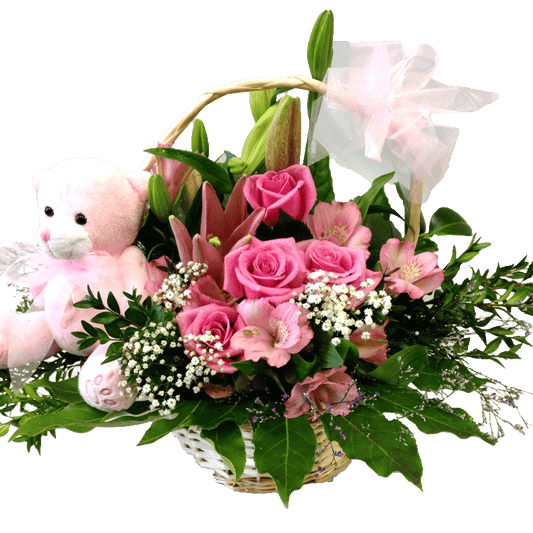 Basket Arrangement for baby girl, baby, hospital, congratulations,