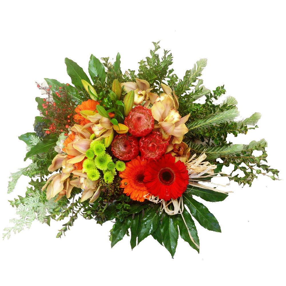 Bright bowl arrangement, get well, hospital, Retirement,