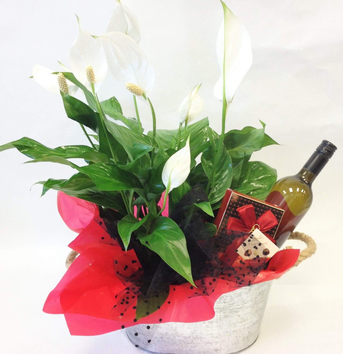 Plant in container with wine and chocolates, lillies, Anniversary, gift basket,