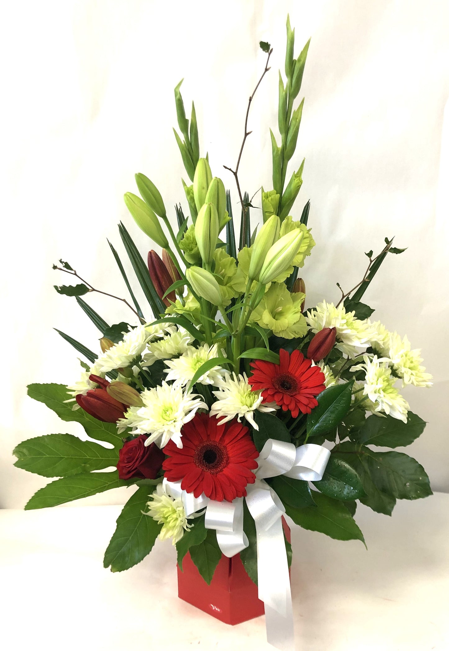 Red and White Water Box