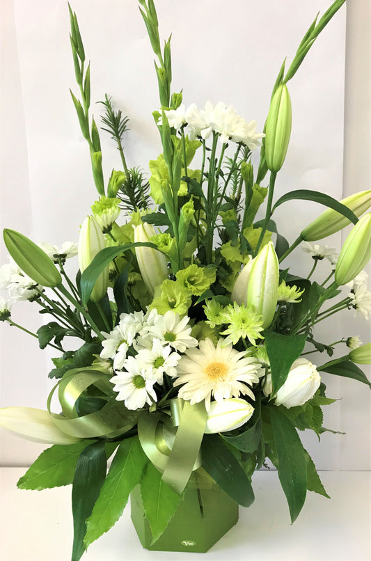 White & Green Large Waterbox