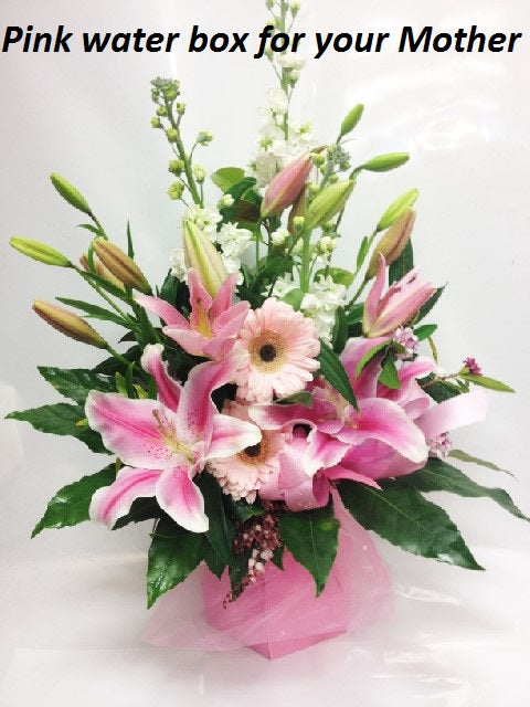 Pastel Pink Water Box, baby, hospital, congratulations, Mothers Day, Baby, Water box flowers,