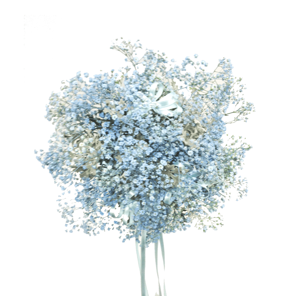 Gathered Gypsophila, Wedding, Bride, Bridesmaid, Wedding celebration, Wedding flowers, bouquets, bouquet