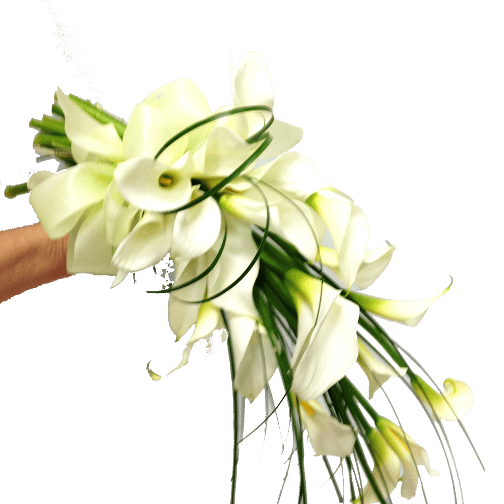 Gathered lilles, Wedding, Bride, Bridesmaid, Wedding celebration, Wedding flowers, Wedding bouquet