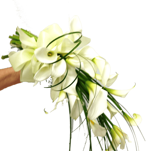 Gathered lilles,  Wedding, Bride, Bridesmaid, Wedding celebration, Wedding flowers, Wedding bouquet