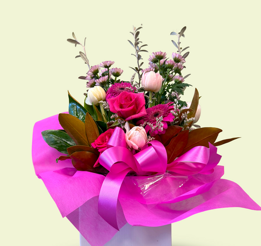 Winter Flowers in Season in Hamilton, New Zealand