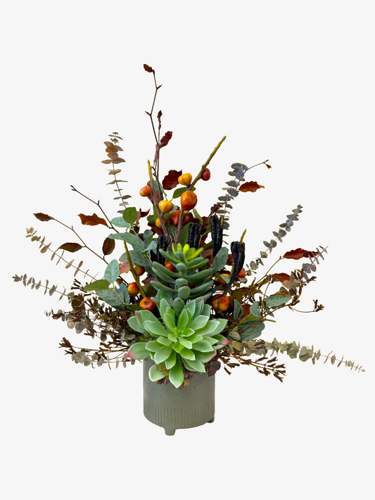 Dried Succulent & Botanical Arrangement