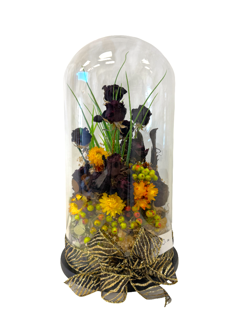 Preserved Rose Glass Dome Arrangement