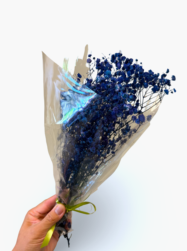 Imported Glycerine-Dyed Gypsophila