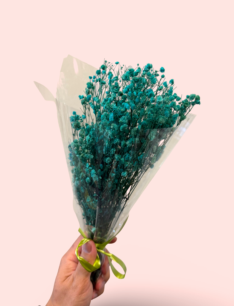 Imported Glycerine-Dyed Gypsophila