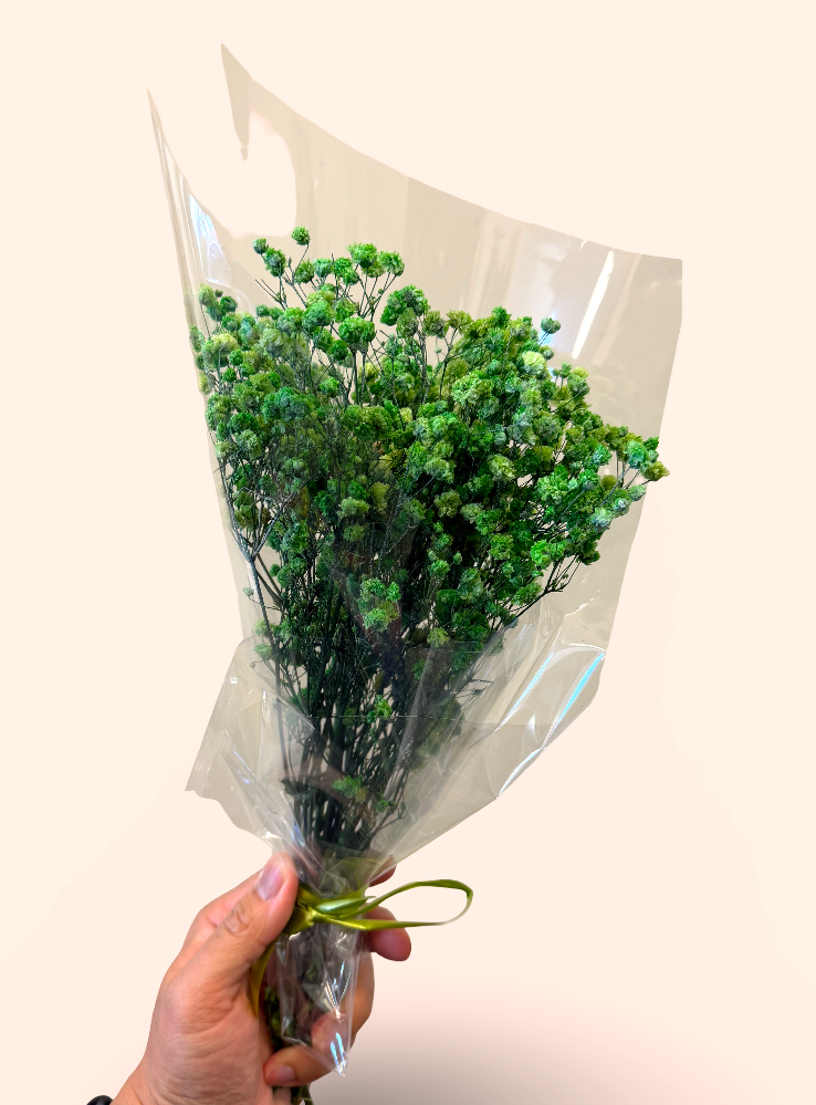 Imported Glycerine-Dyed Gypsophila