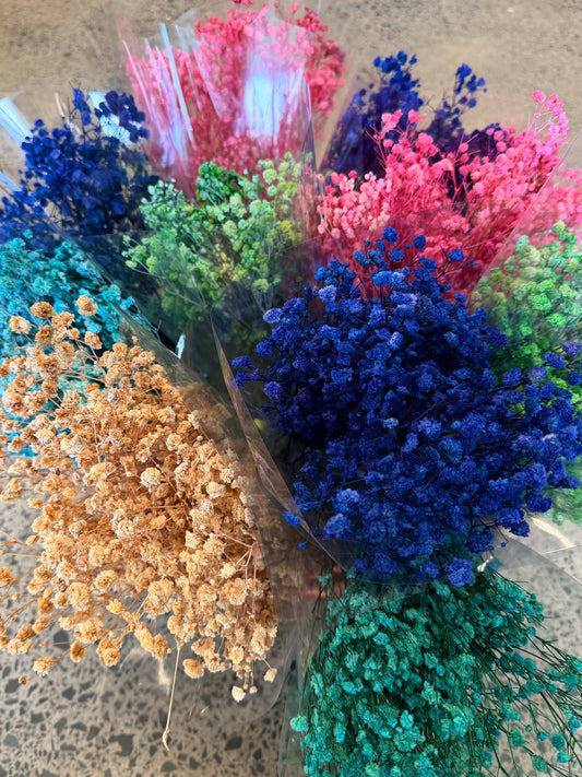 Imported Glycerine-Dyed Gypsophila