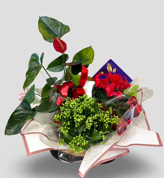 Red Harmony Living Gift Basket