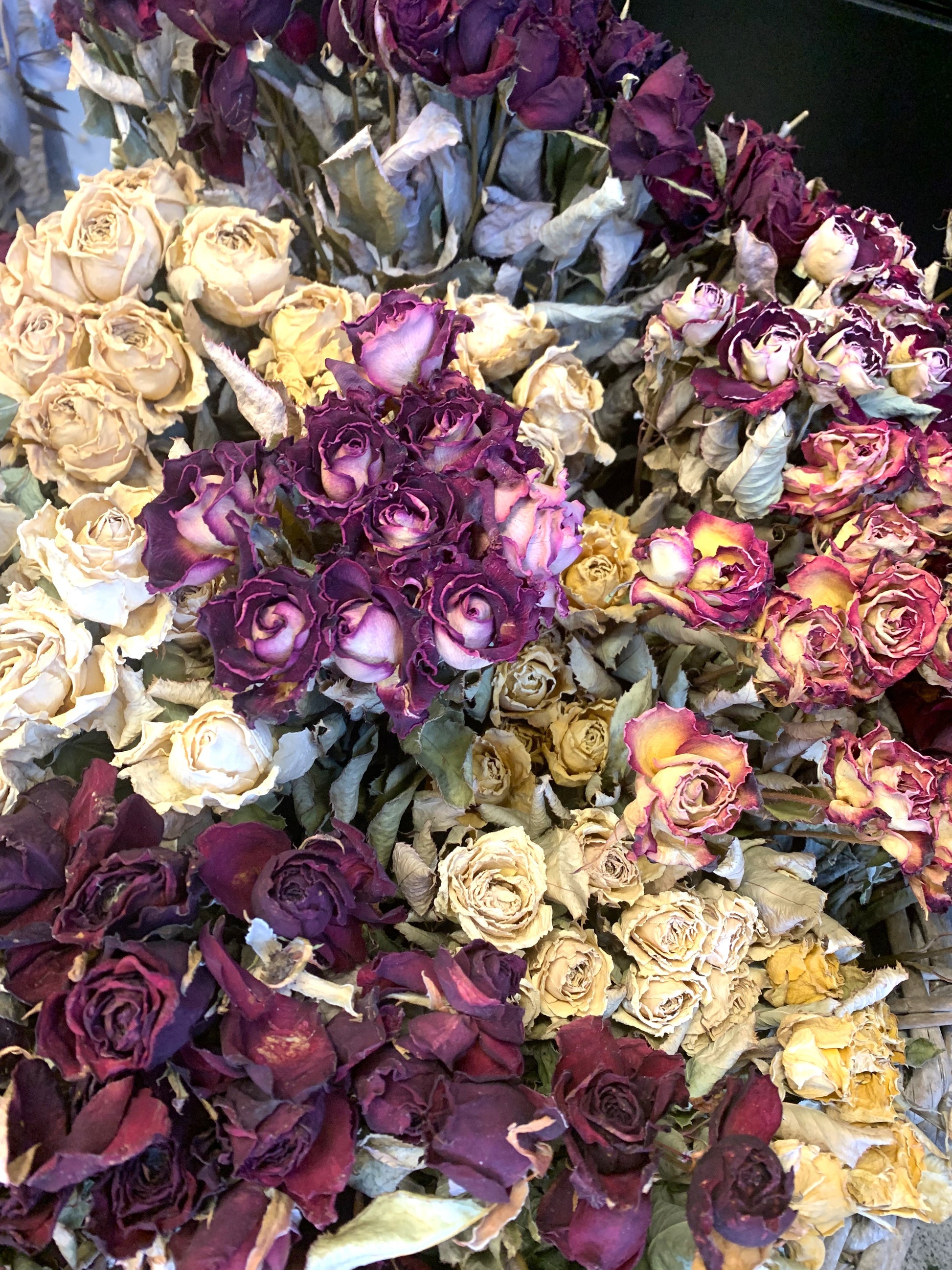 Dried Rose in Bunches – Gails Floral Studio