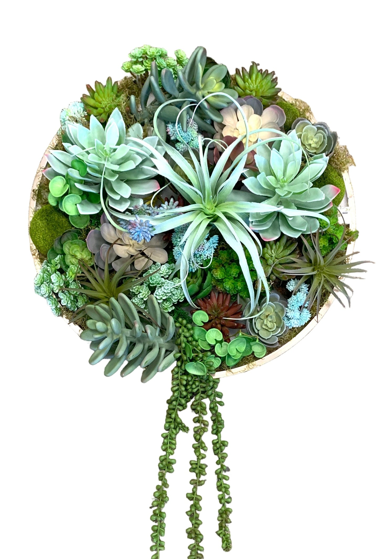 Succulent Decor