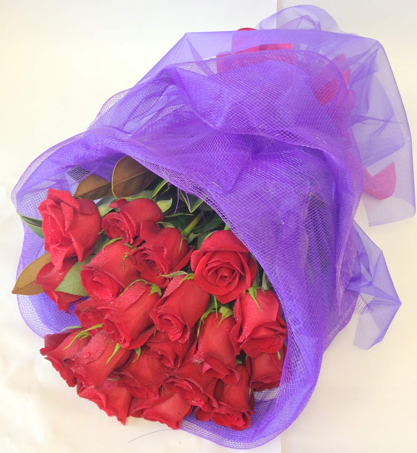 20 superb red roses with in mesh wrap