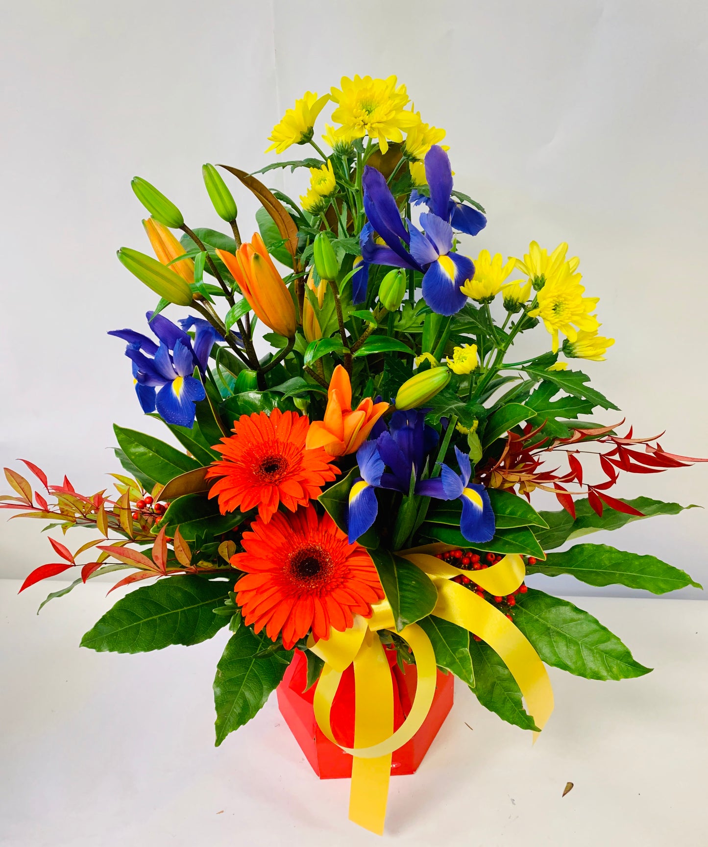 Vibrant Yellow, Orange, Green & Blue Waterbox