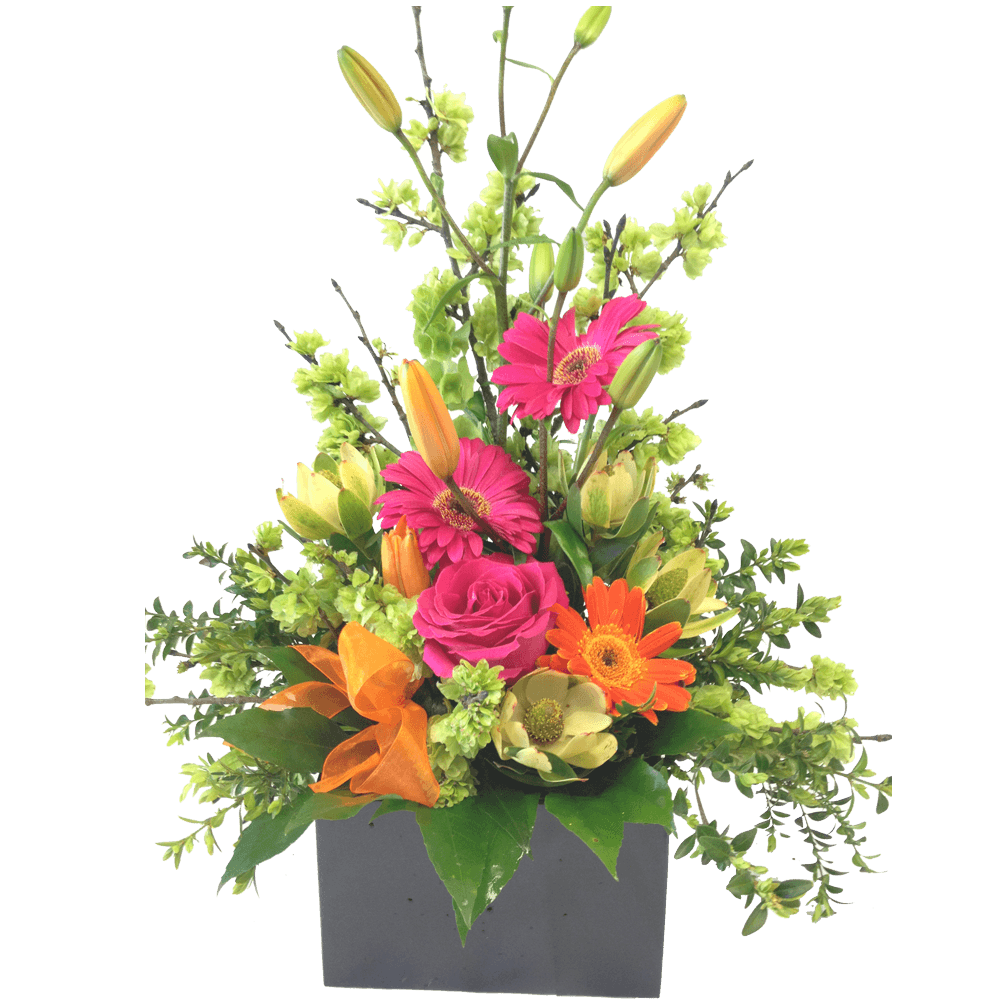 Box of joy, get well, hospital, Retirement, Birthday, Water flower boxes, Anniversary, Mothers day, corporate