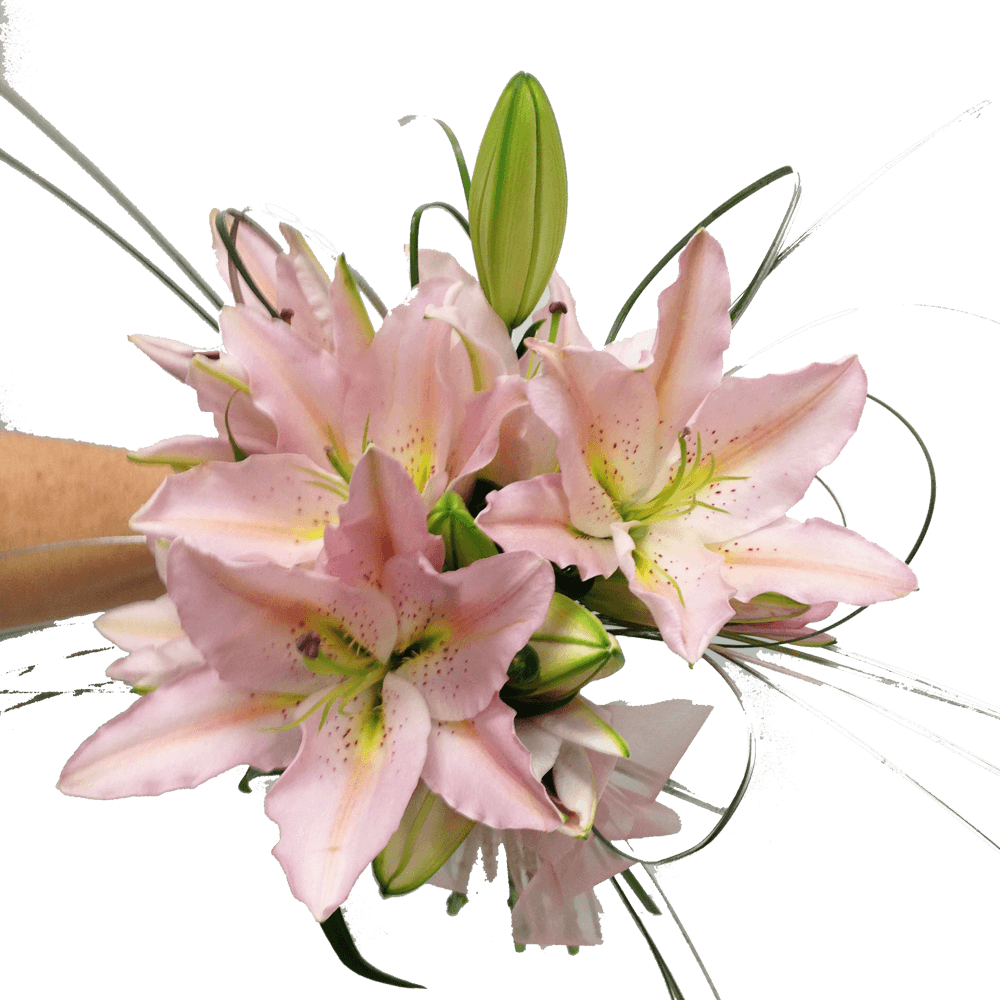 Simple Oriental Lillies, Wedding, Bride, Bridesmaid, Wedding celebration, Wedding flowers, Wedding bouquet