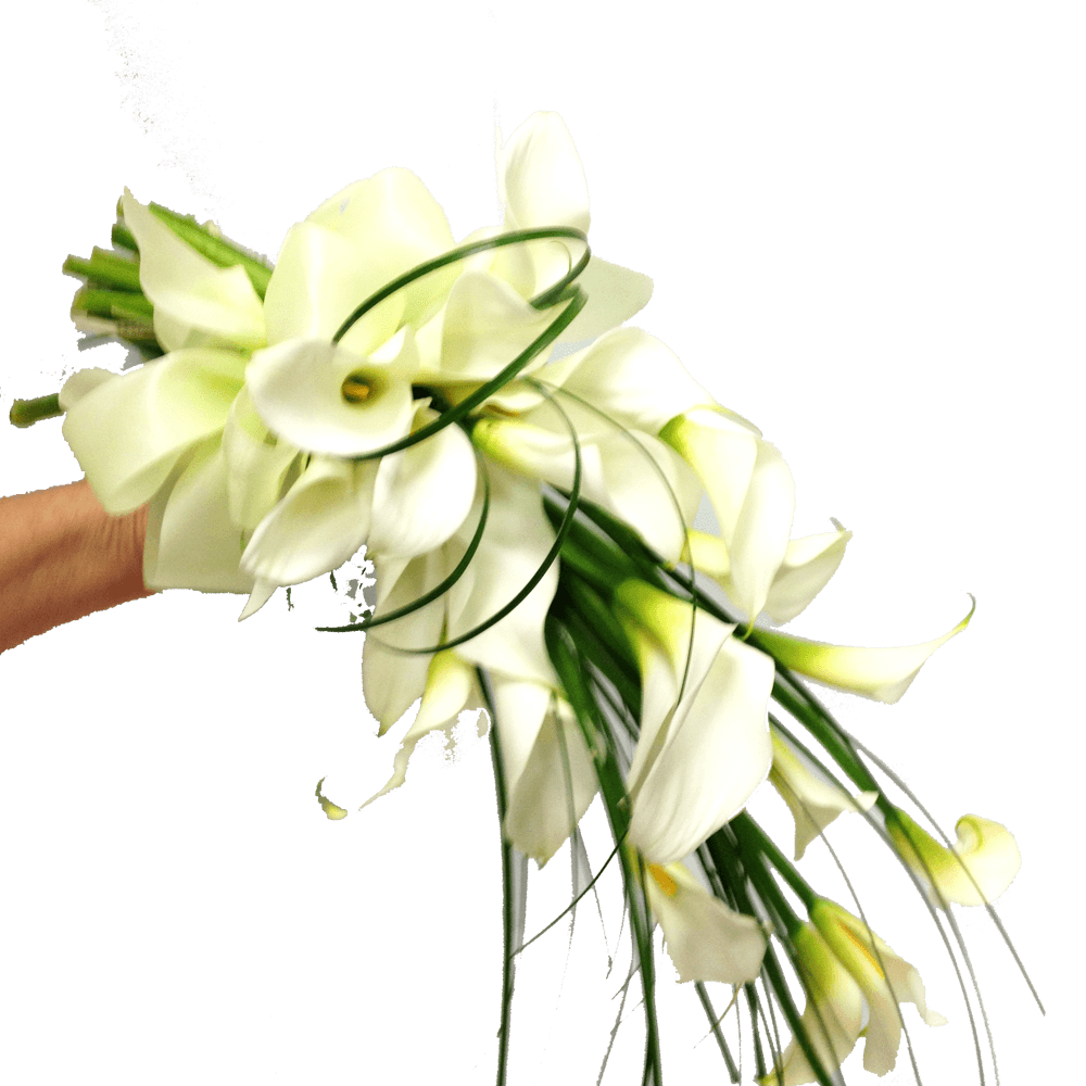 Gathered lilles,  Wedding, Bride, Bridesmaid, Wedding celebration, Wedding flowers, Wedding bouquet